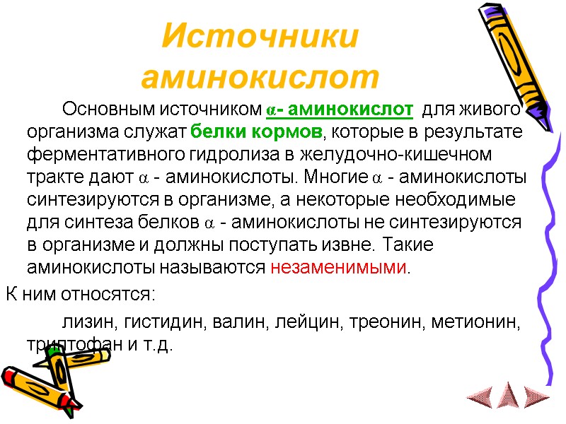 Источники аминокислот   Основным источником α- аминокислот  для живого организма служат белки